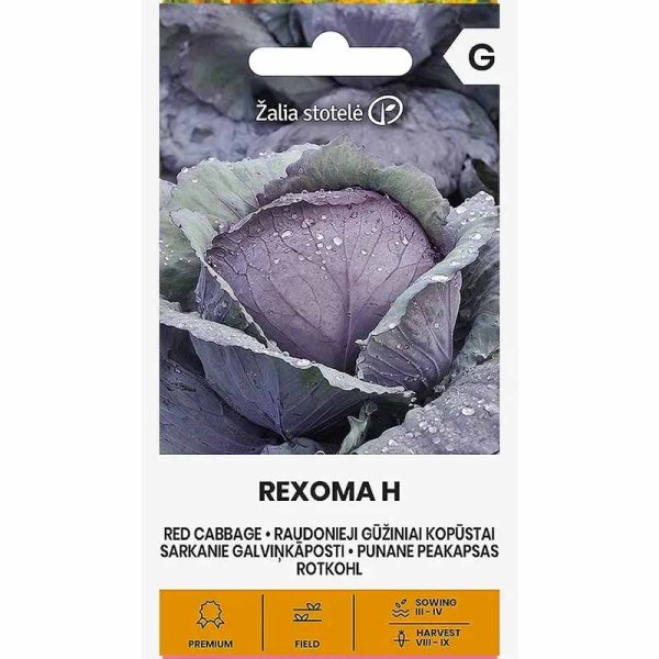 Rotkohl 'Rexoma' h
