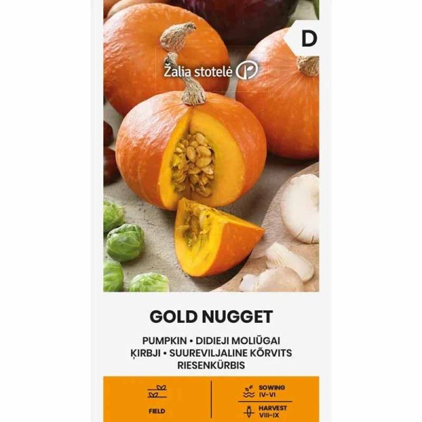 Kürbis 'Gold nugget'