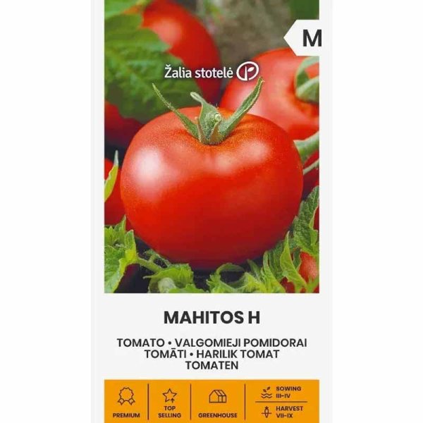 Tomate 'Mahitos' H