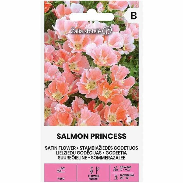 Atlasblume 'Salmon Princess'