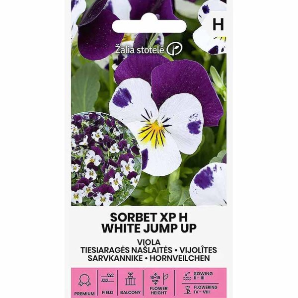 Stiefmütterchen 'Sorbet XP White Jump Up'