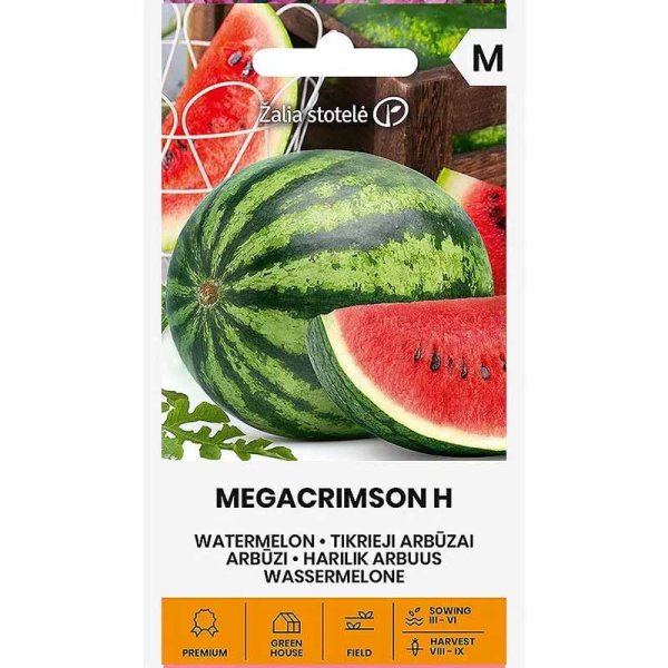 Wassermelone 'Megacrimson' F1
