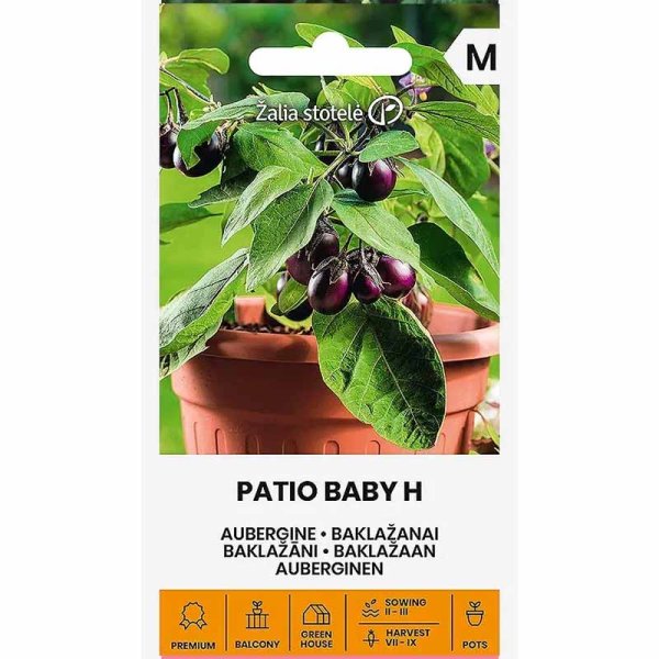 Aubergine 'Patio baby' h