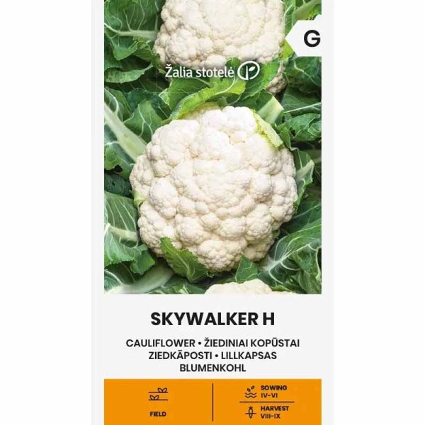 Blumenkohl 'Skywalker'