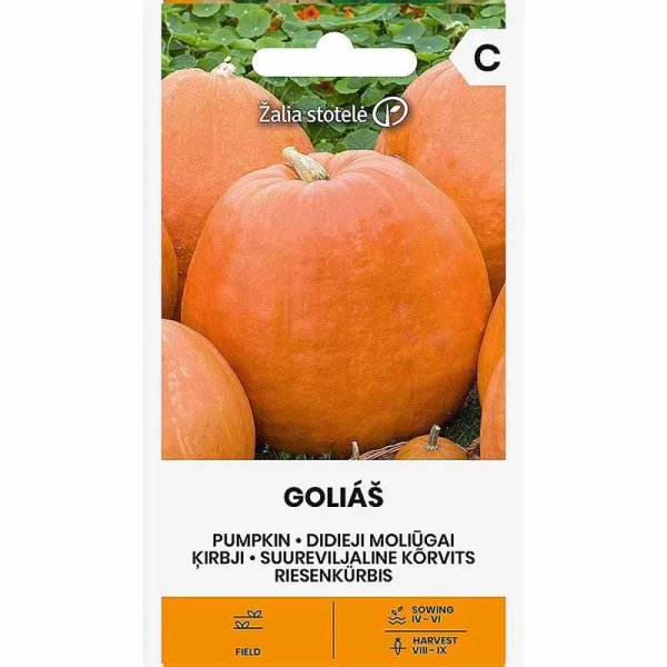 Riesenkürbis 'Golias'