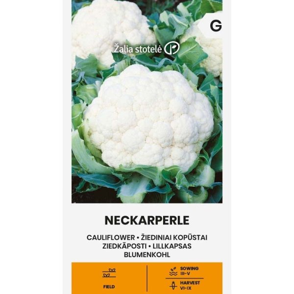 Blumenkohl 'Neckarperle'