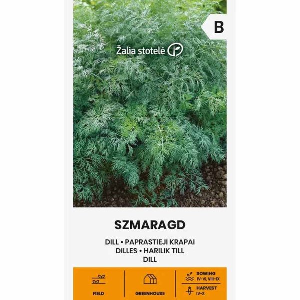 Dill 'Smaragd'