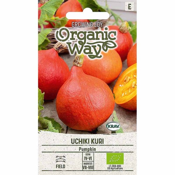 Kürbis 'Uchhiki Kuri'