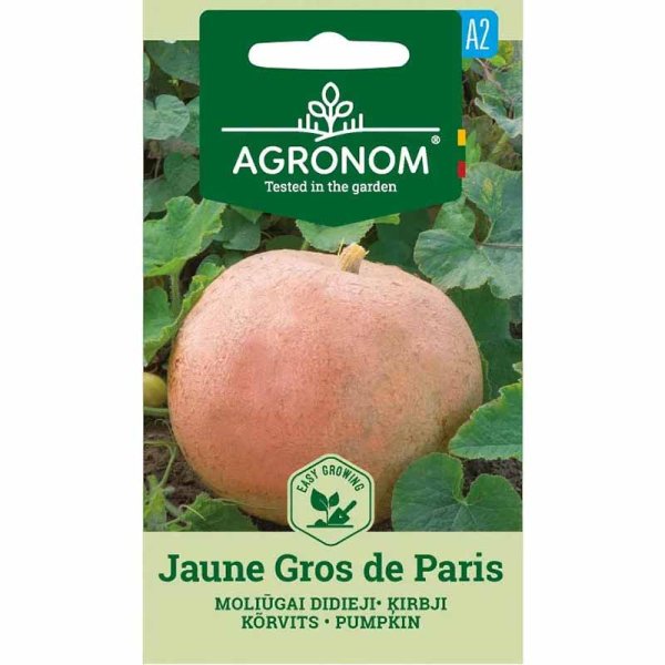 Kürbis 'Jaune Gros de Paris'