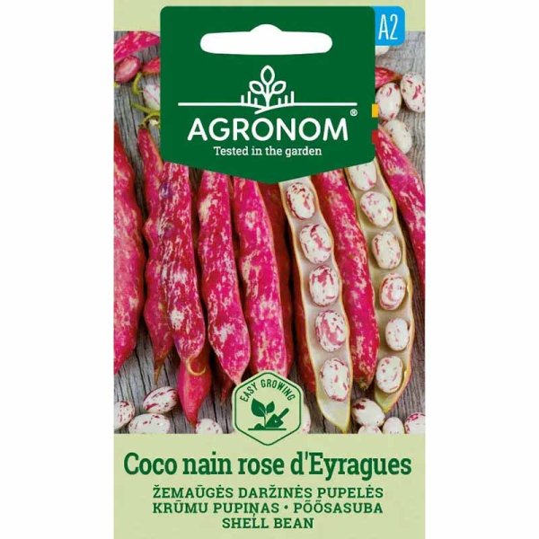 Trockenbohne 'Coco Nain Rose D´Eyrague'