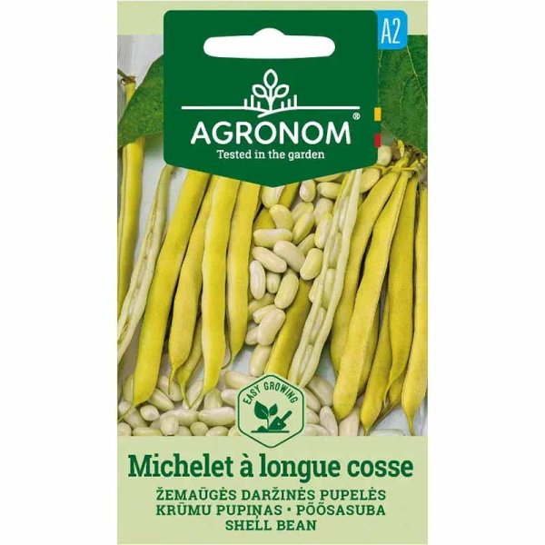 Trockenbohne 'Michelet à longue cosse'