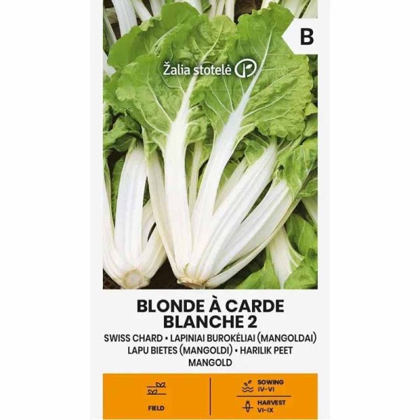 Mangold 'Blond en carde blanche 2'