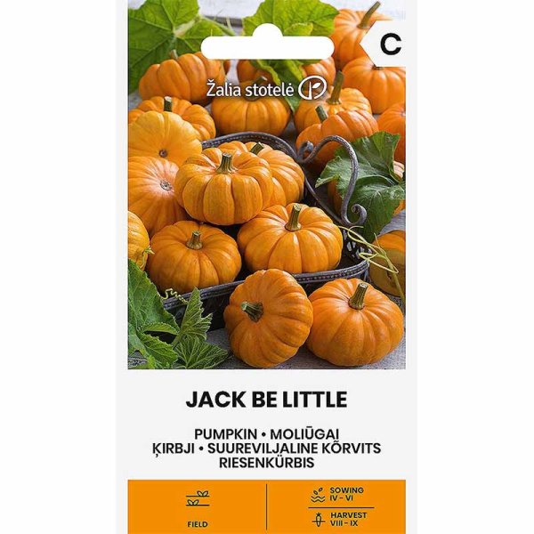 Zierkürbis 'Jack Be Little'