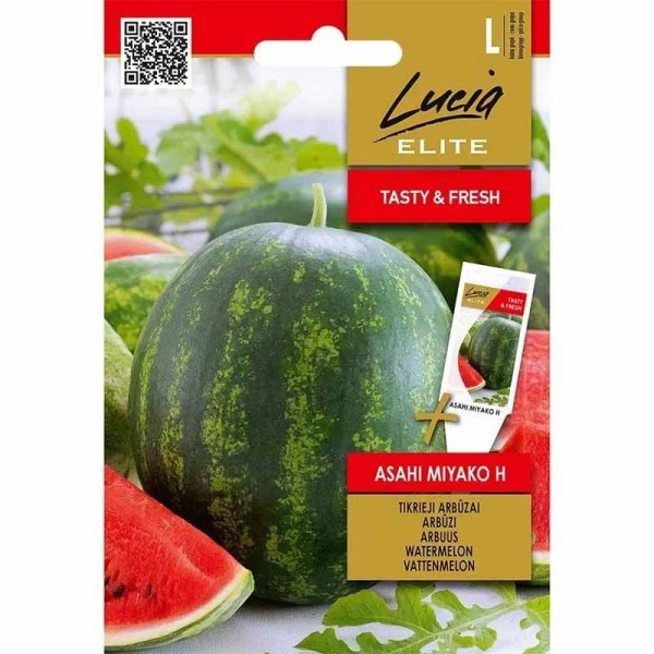 Wassermelone 'Asahi Miyako' F1
