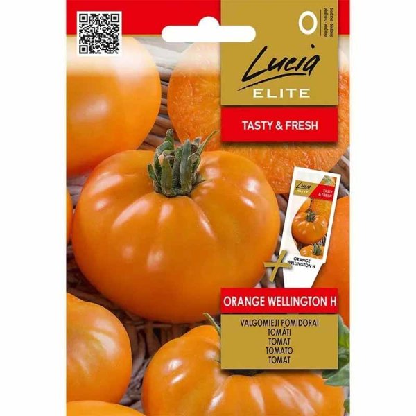 Tomate 'Orange Wellington' H