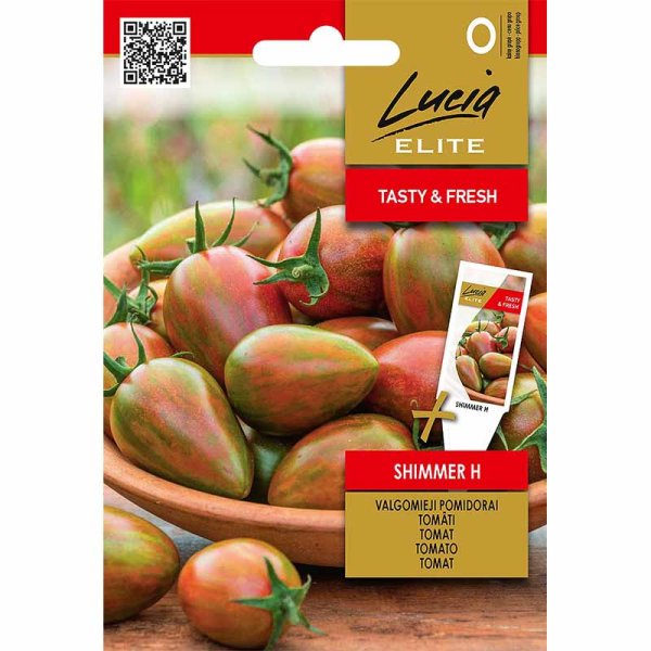 Tomate 'Shimmer'