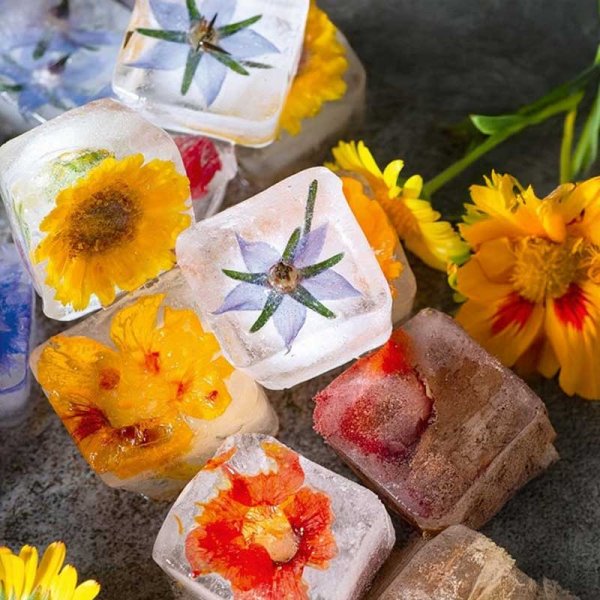 Blumenmischung 'Ice Cube'