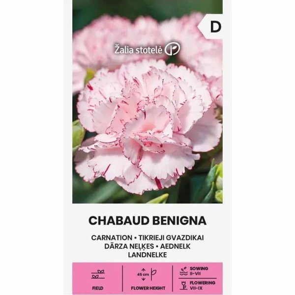 Gartennelke 'Chabaud Benigna'