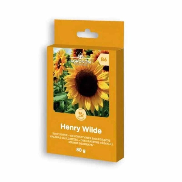Sonnenblume 'Henry Wilde' Großpackung 80g