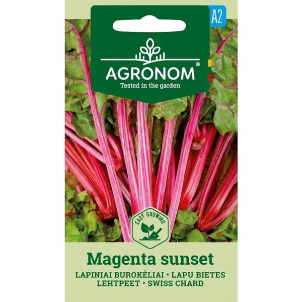 Mangold 'Magenta Sunset'