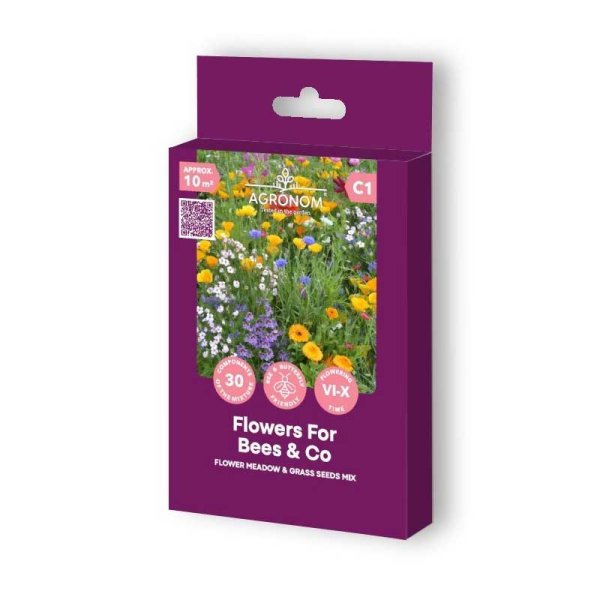 Blumenwiese & Wildgras Blumen für Bienen