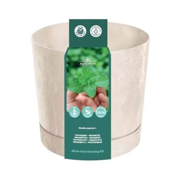 Anzuchtset Pfefferminze