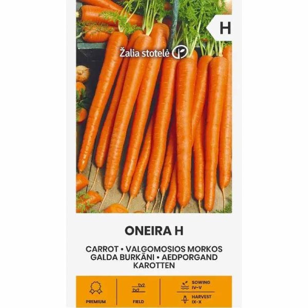 Möhre 'Oneira' H