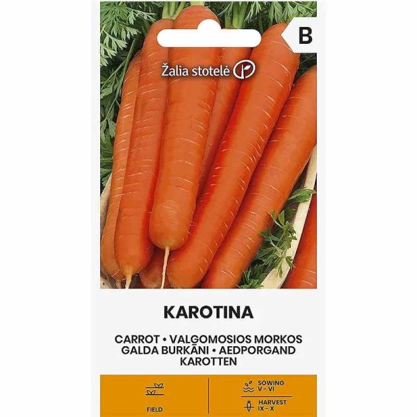 Möhre 'Karotina'