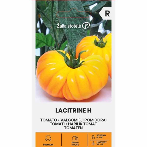 Tomate 'Lacitrine' H