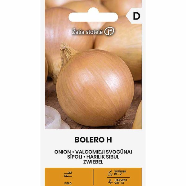 Zwiebel 'Bolero' H