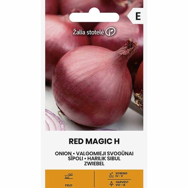 Zwiebel 'Red Magic' H