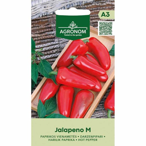 Chili 'Jalapeno M'
