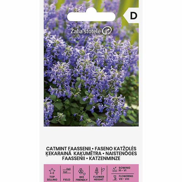 Katzenminze 'Faasseni'