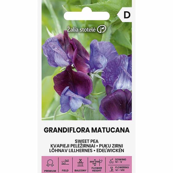 Duftwicke 'Grandiflora Matucana'