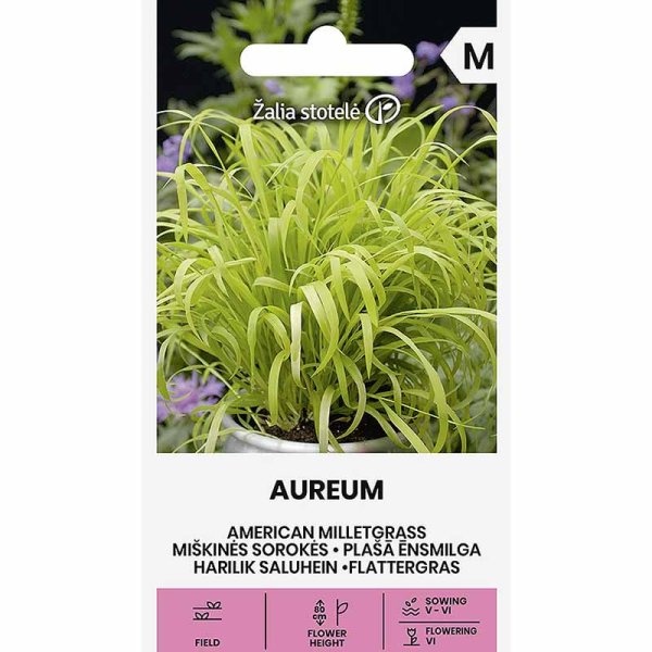 Hirsegras 'Aureum'