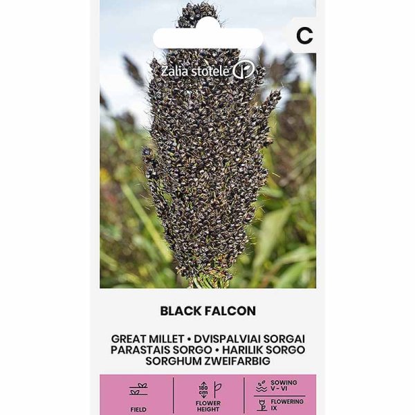 Perlhirse 'Black Falcon'