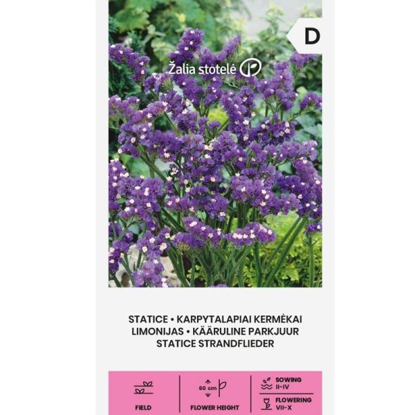 Blauer Strandflieder