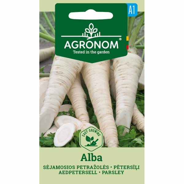Parsley Root 'Alba'