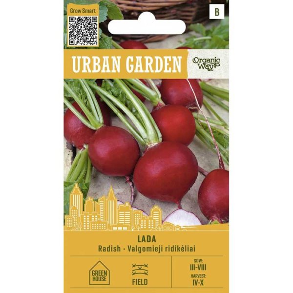 Radieschen ’Lada’