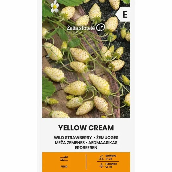 Wald-Erdbeere 'Yellow Cream'