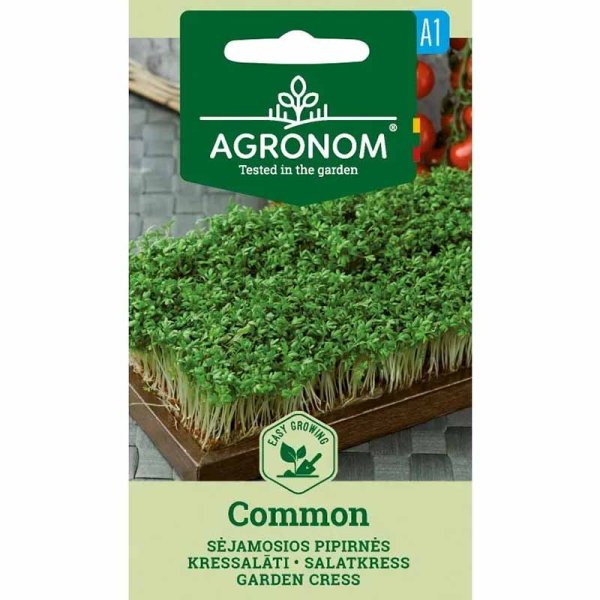 Gartenkresse 'Common'