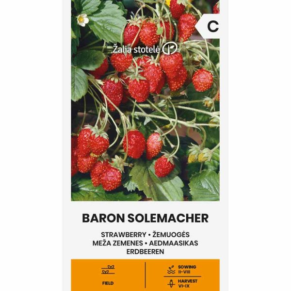 Wald-Erdbeere 'Baron von solemacher'