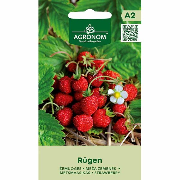 Smultron 'Rügen'