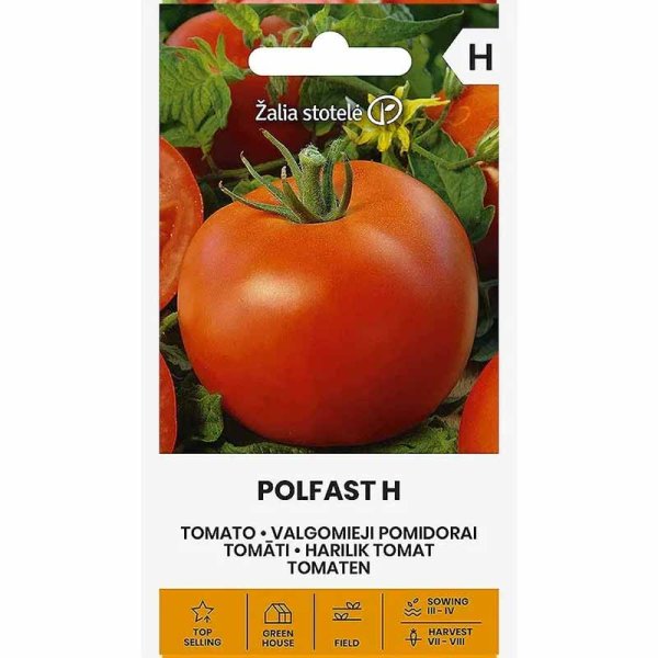Tomate 'Polfast' H