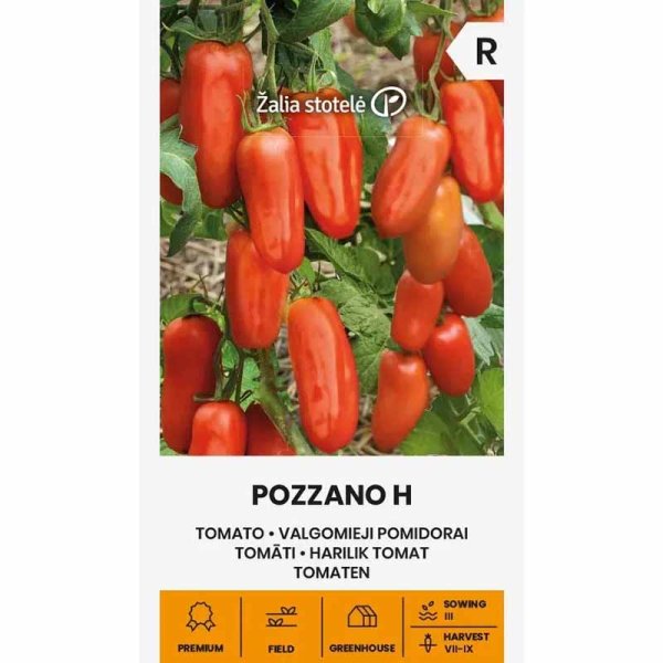Tomate 'Pozzano' H