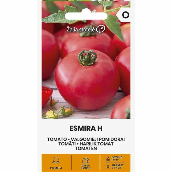 Tomate 'Esmira' H