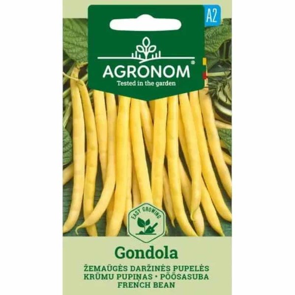 Wachsbohne 'Gondola'