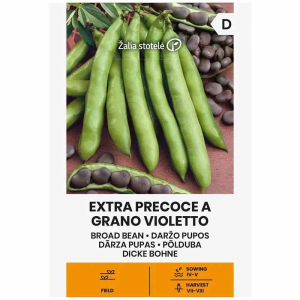 Dicke Bohne 'Extra precoce a grano violetto'