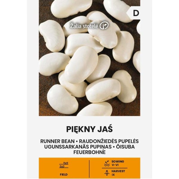 Feuerbohne 'Piekny jas'
