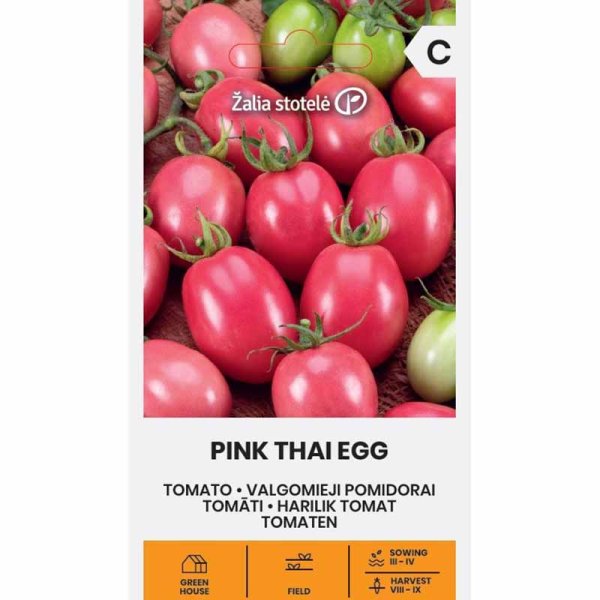 Tomate 'Pink Thai egg'